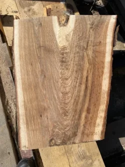 IMG_1366 Walnut Crotch .webp